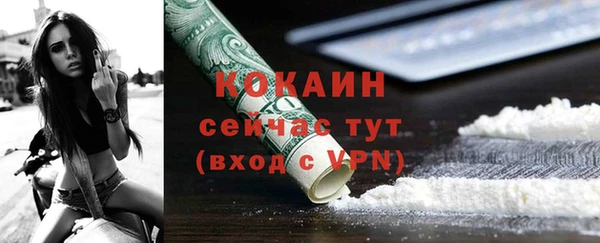 a pvp Бородино