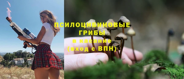 ECSTASY Бронницы