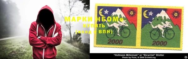 a pvp Бородино