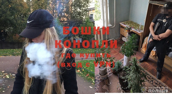 ECSTASY Бронницы