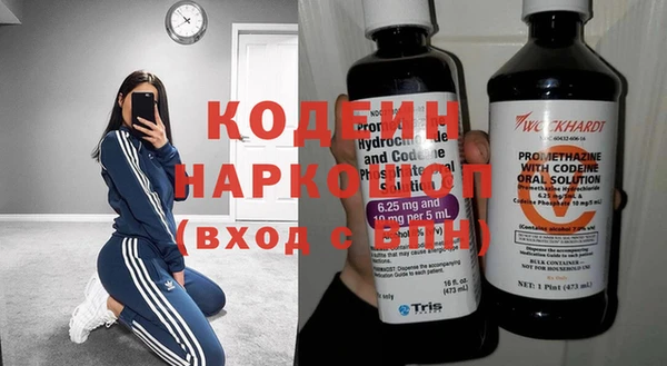 a pvp Бородино